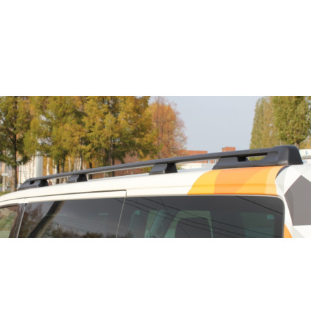 Рейлинги АПС на Volkswagen T5 2003— Арт. 1213-02 в Рязани